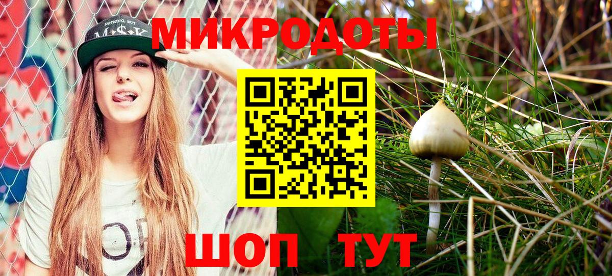 Галлюциногенные грибы Psilocybe Верхний Уфалей